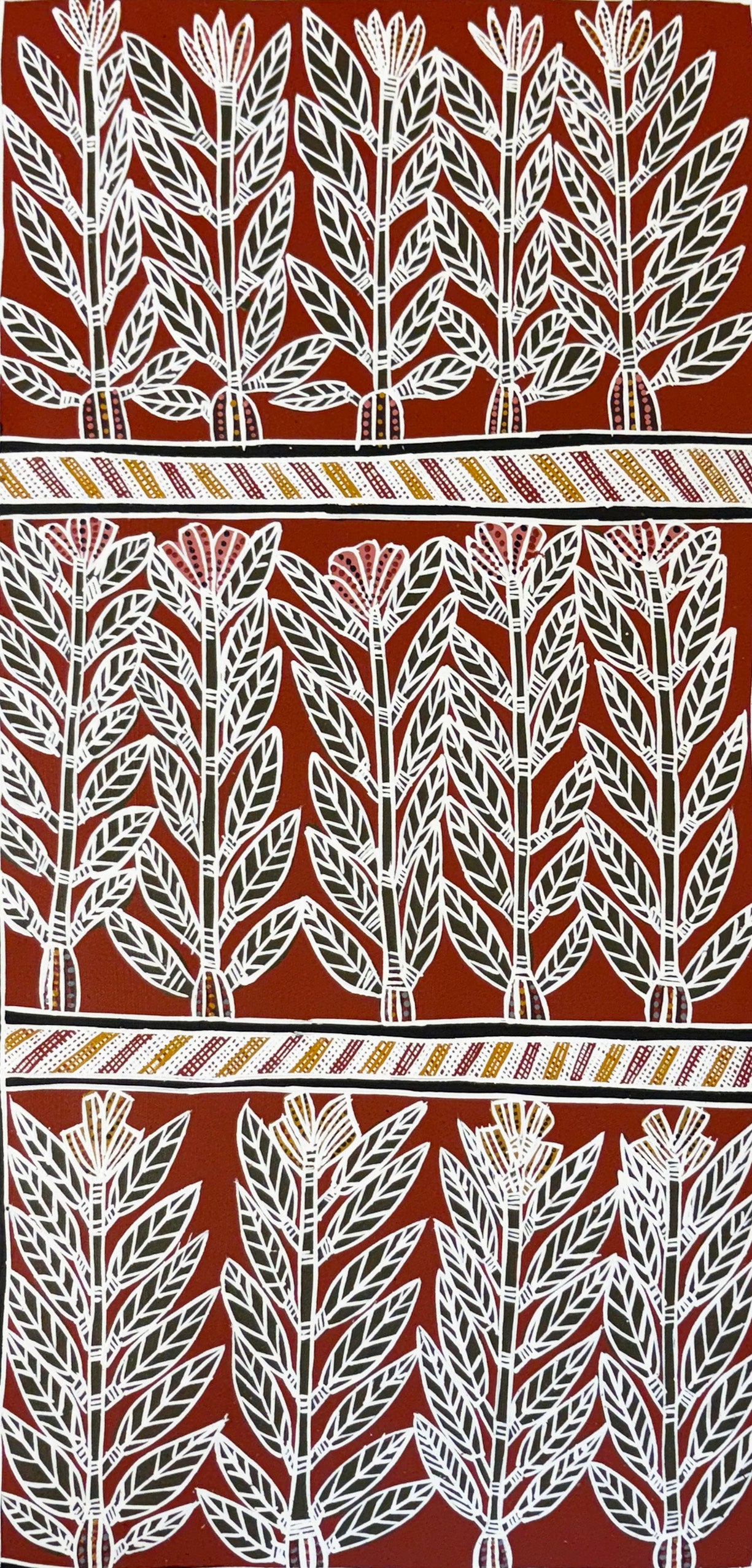 Ritjano (bush carrot) by Joy  Burruna