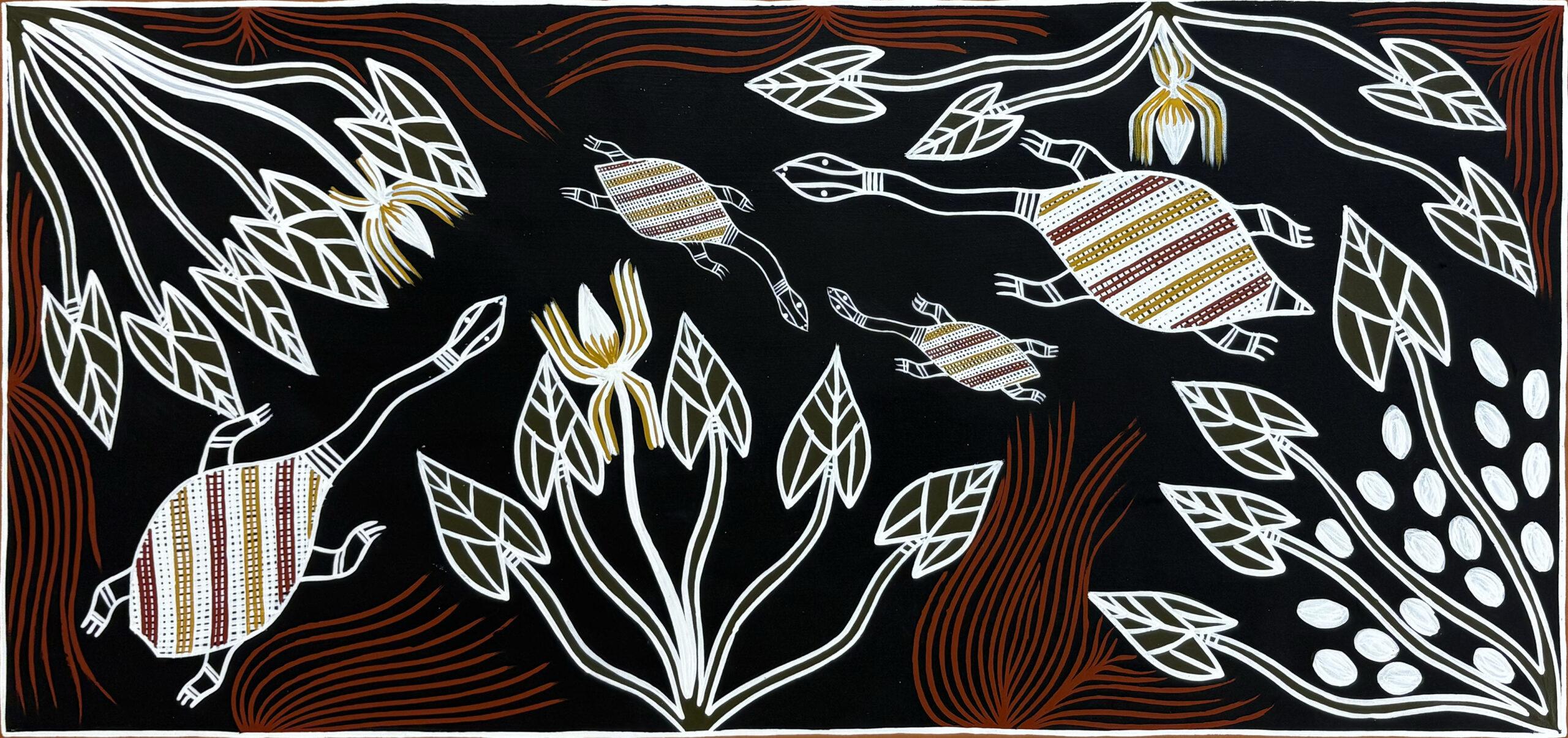 Ganalbingu - Banda (Long Necked Turtle) - Painting - Shannon Ashley