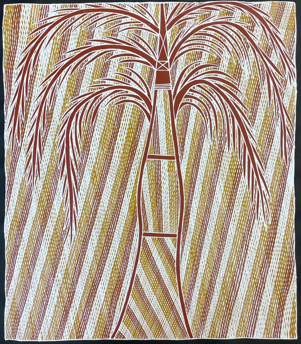 Arafura Palm by JB Fisher